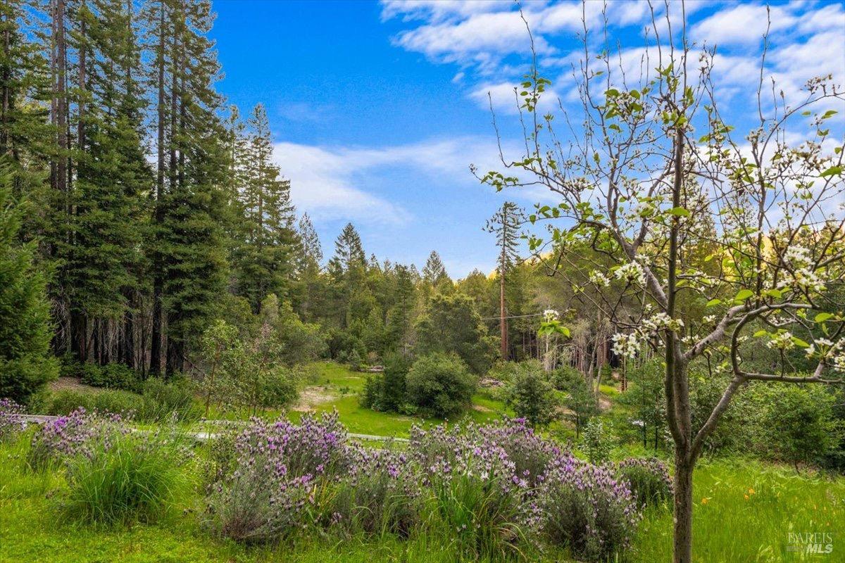 Detail Gallery Image 41 of 72 For 12076 Cloud Ridge Rd, Healdsburg,  CA 95448 - 6 Beds | 4 Baths
