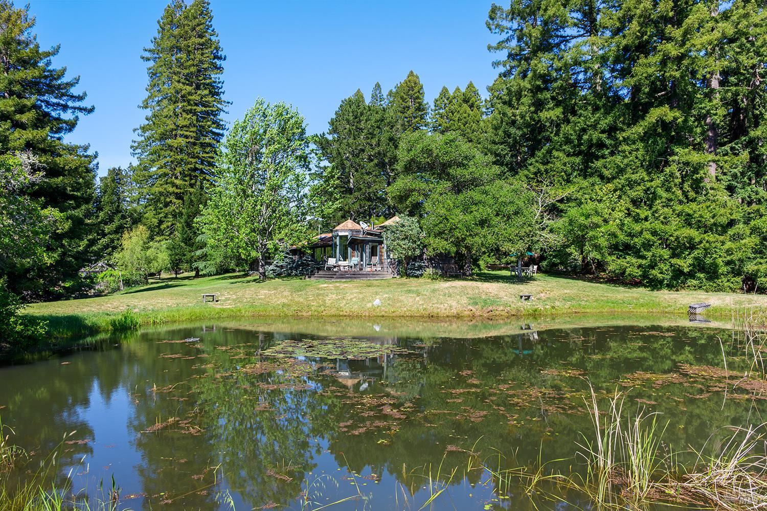 Detail Gallery Image 9 of 49 For 3580 Joy Rd, Occidental,  CA 95465 - 4 Beds | 2/2 Baths