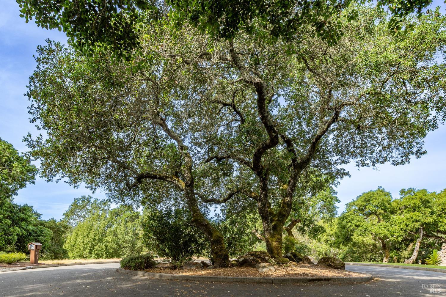 Front Image Thumbnail for BA326026280