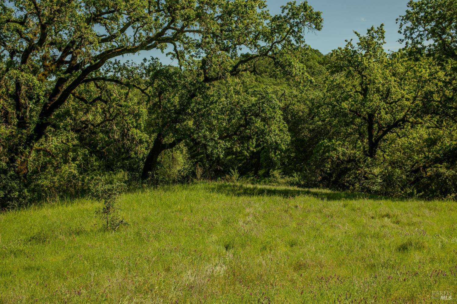 Front Image Thumbnail for BA326021895