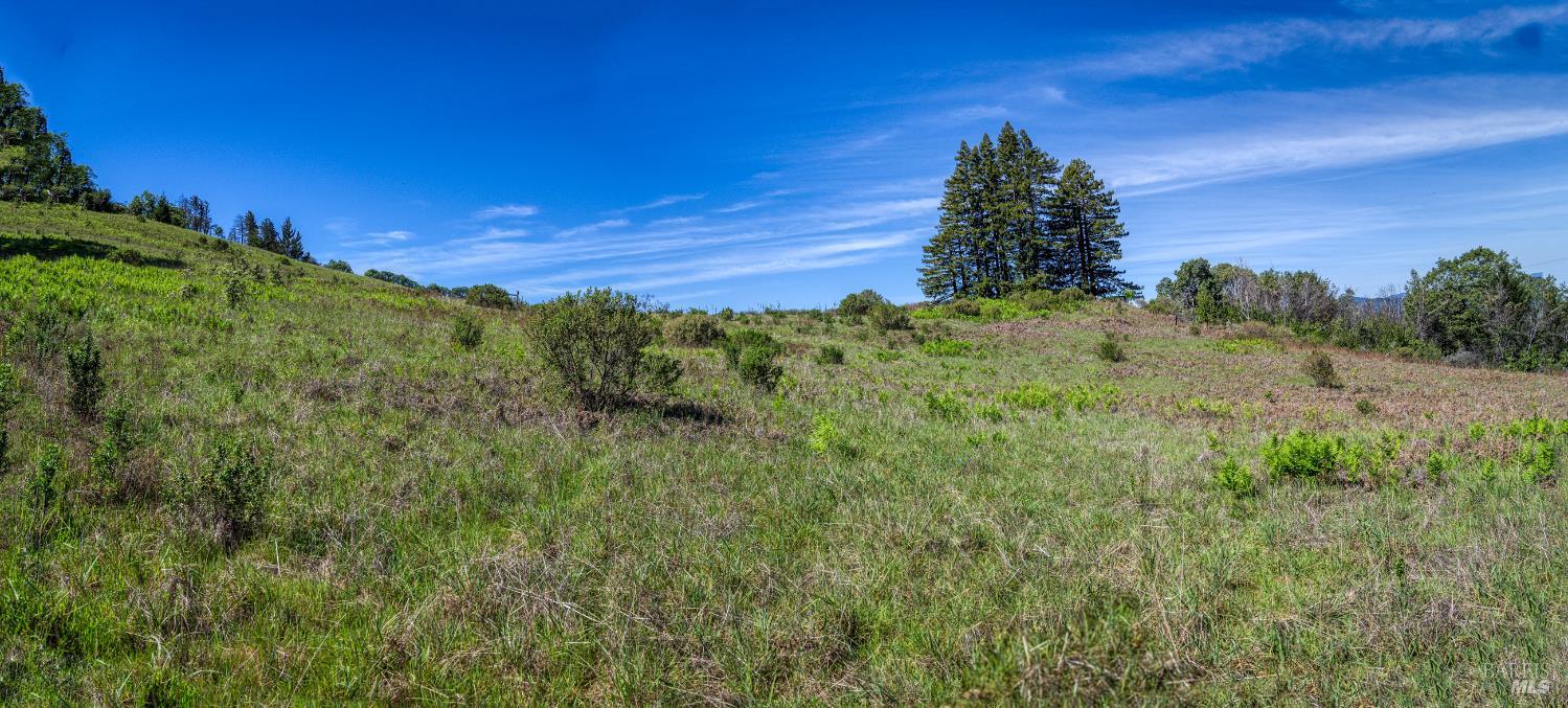 Detail Gallery Image 50 of 72 For 12300 Skaggs Rd, Geyserville,  CA 95441 - – Beds | – Baths