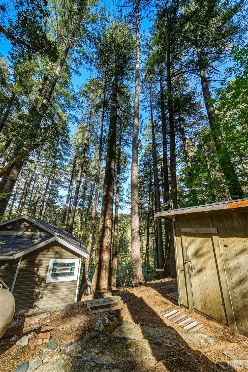 Detail Gallery Image 36 of 47 For 16179 Madrone Blvd, Cobb,  CA 95426 - 1 Beds | 1 Baths