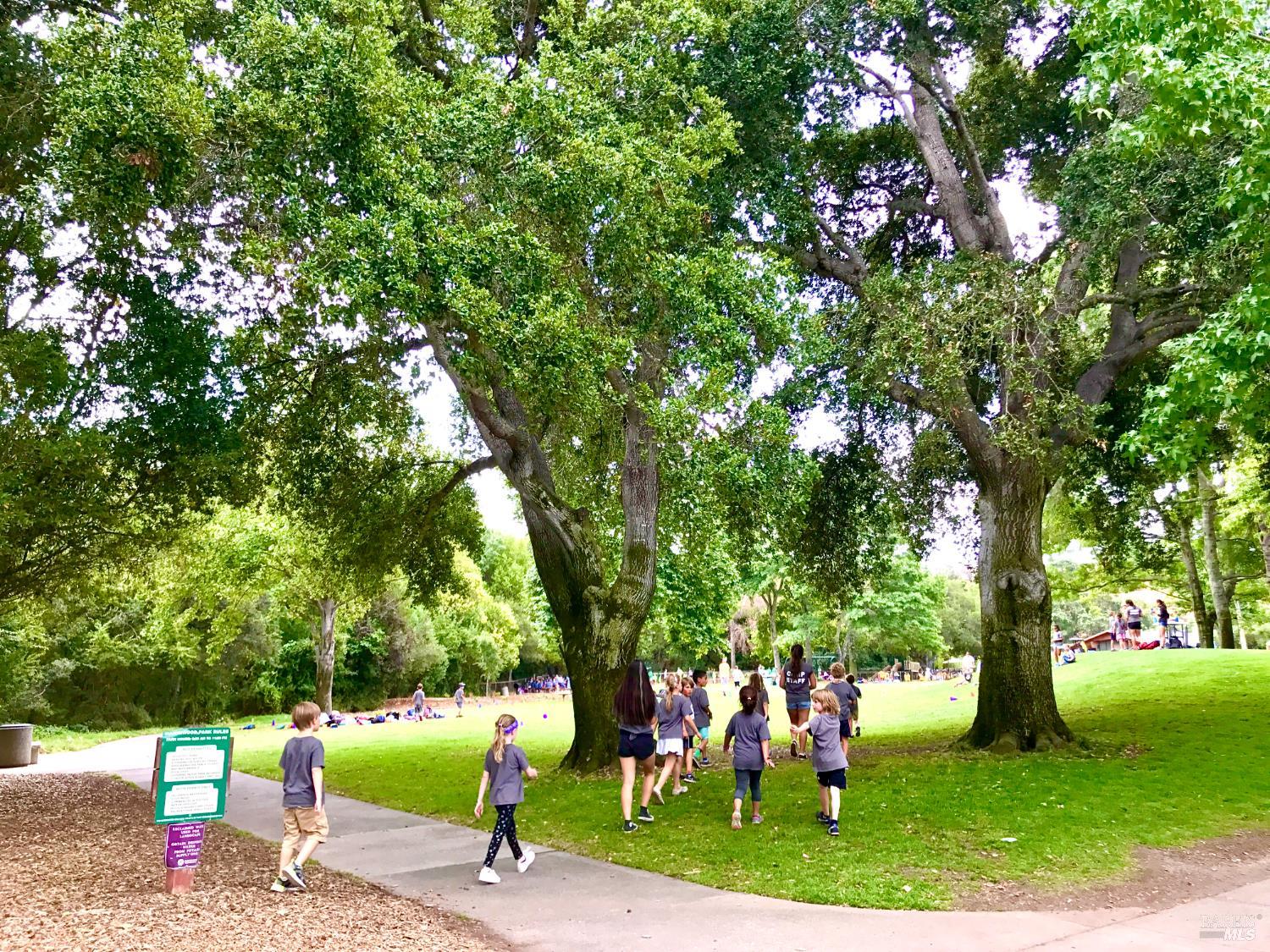 Detail Gallery Image 79 of 93 For 184 Cobblestone Dr, San Rafael,  CA 94903 - 4 Beds | 2 Baths