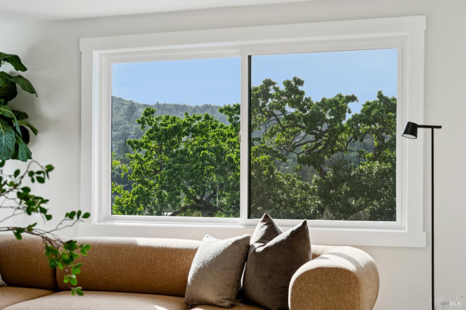 Detail Gallery Image 82 of 93 For 88 Lincoln Park Unkn, San Anselmo,  CA 94960 - 4 Beds | 4/1 Baths