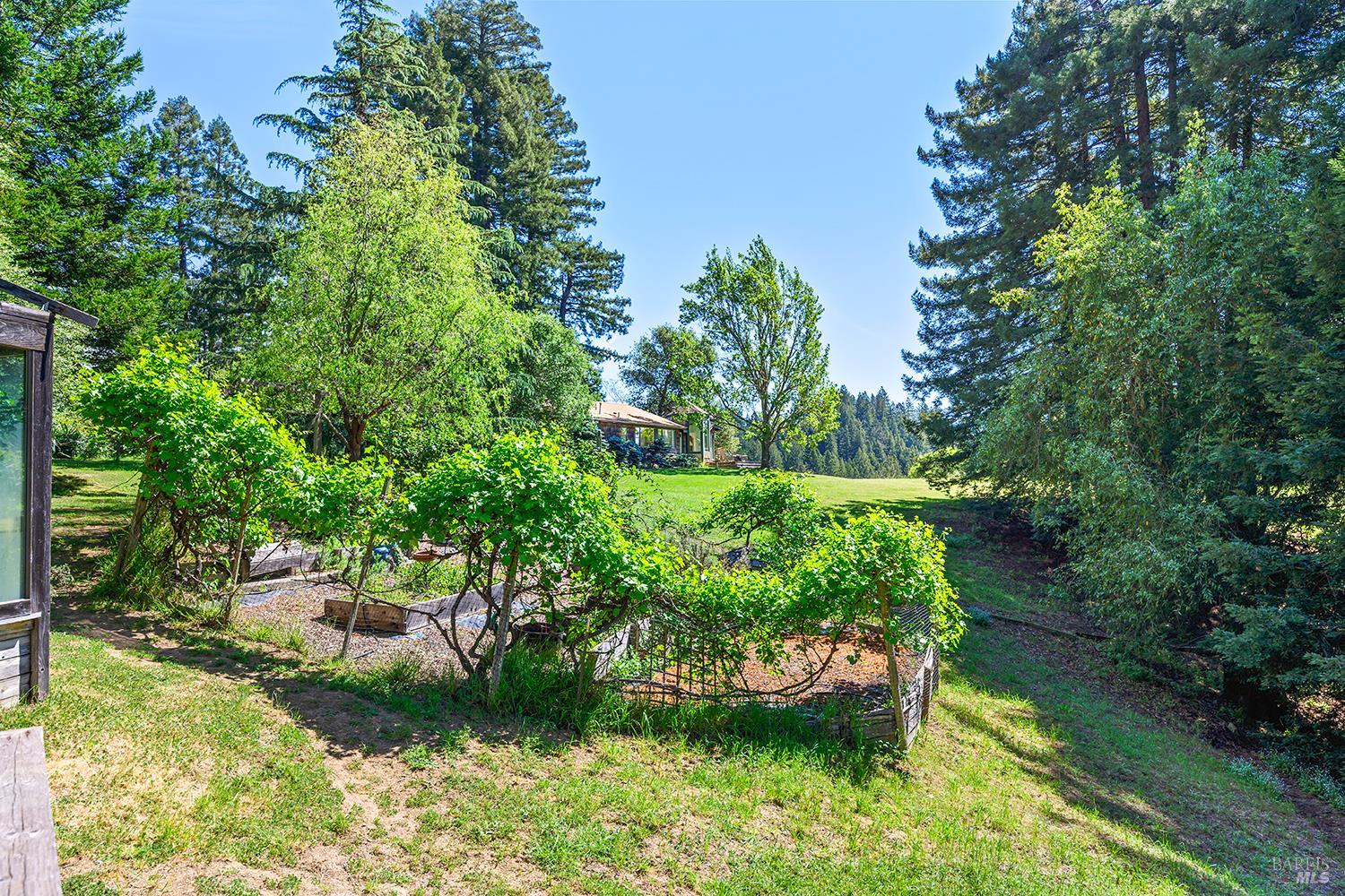 Detail Gallery Image 37 of 49 For 3580 Joy Rd, Occidental,  CA 95465 - 4 Beds | 2/2 Baths
