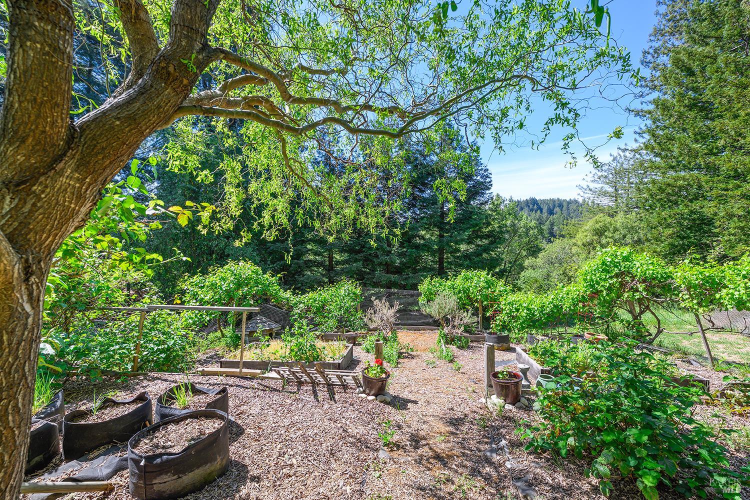 Detail Gallery Image 36 of 49 For 3580 Joy Rd, Occidental,  CA 95465 - 4 Beds | 2/2 Baths