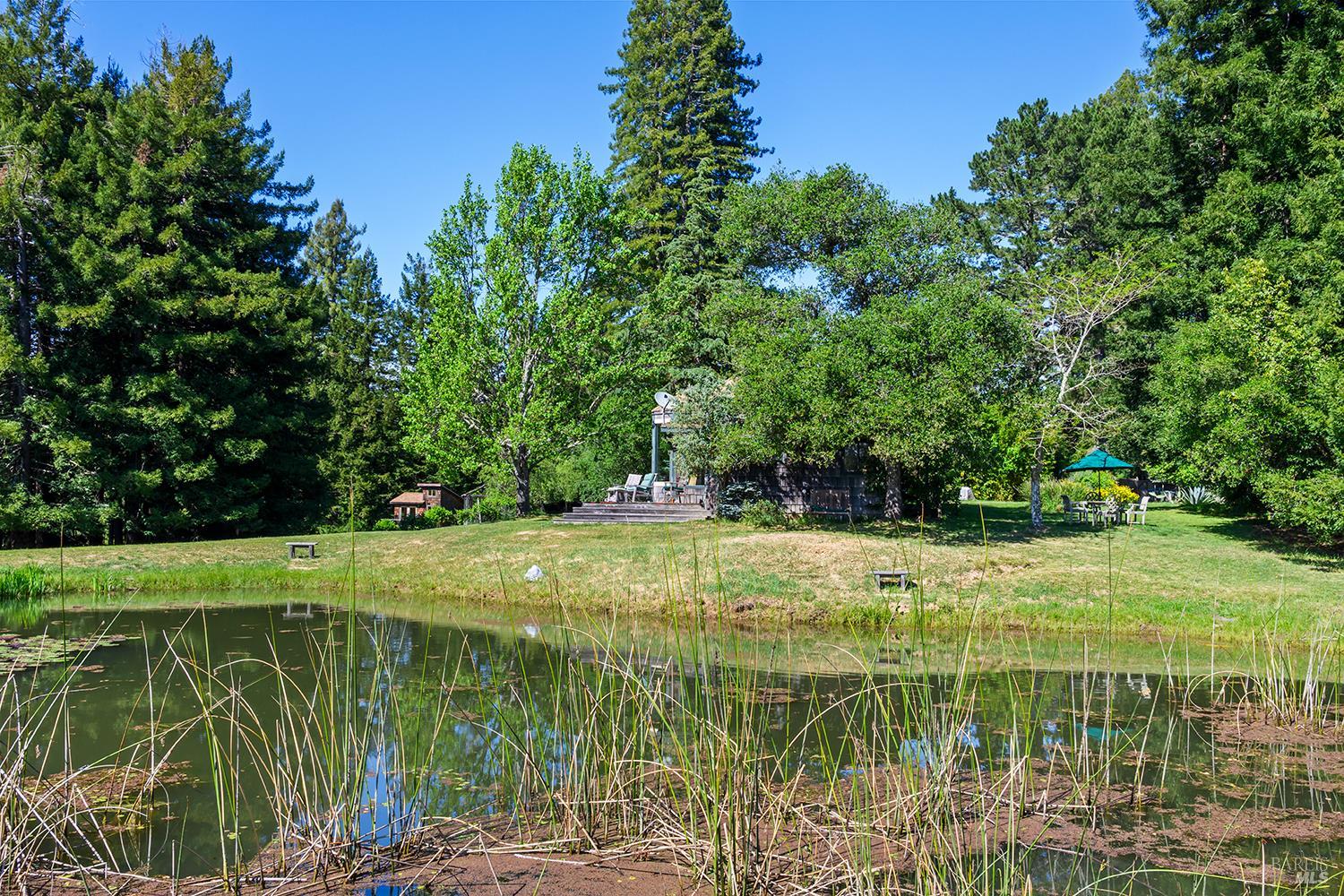 Detail Gallery Image 40 of 49 For 3580 Joy Rd, Occidental,  CA 95465 - 4 Beds | 2/2 Baths