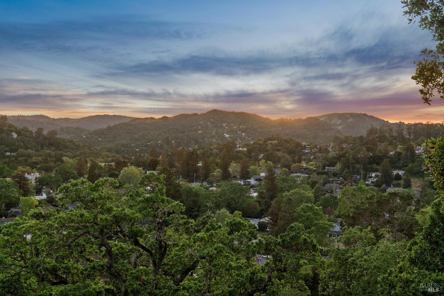 Detail Gallery Image 51 of 52 For 95 Ridge Rd, San Anselmo,  CA 94960 - 2 Beds | 1/1 Baths