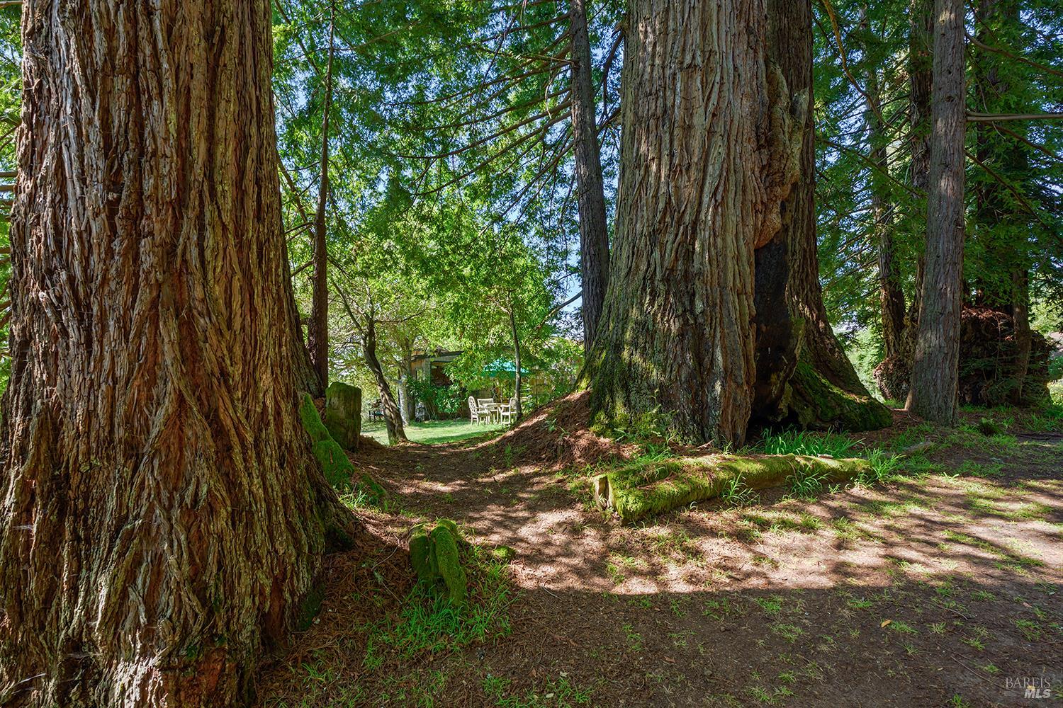 Detail Gallery Image 42 of 49 For 3580 Joy Rd, Occidental,  CA 95465 - 4 Beds | 2/2 Baths