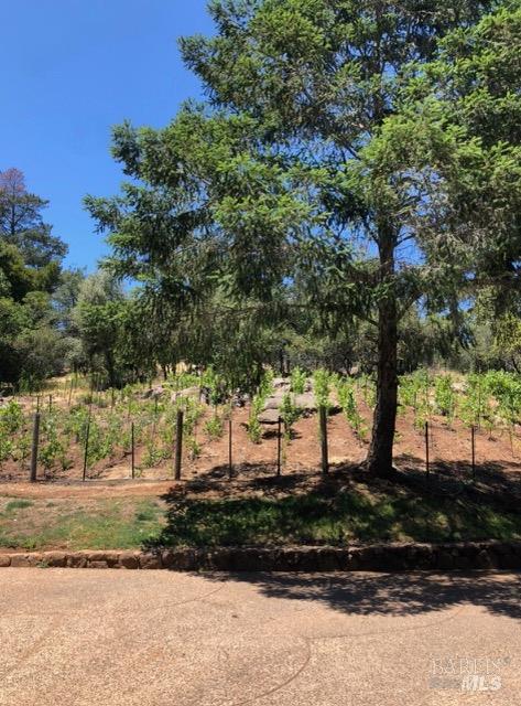 Detail Gallery Image 43 of 44 For 1412 Quail Ct, Santa Rosa,  CA 95404 - 4 Beds | 3 Baths