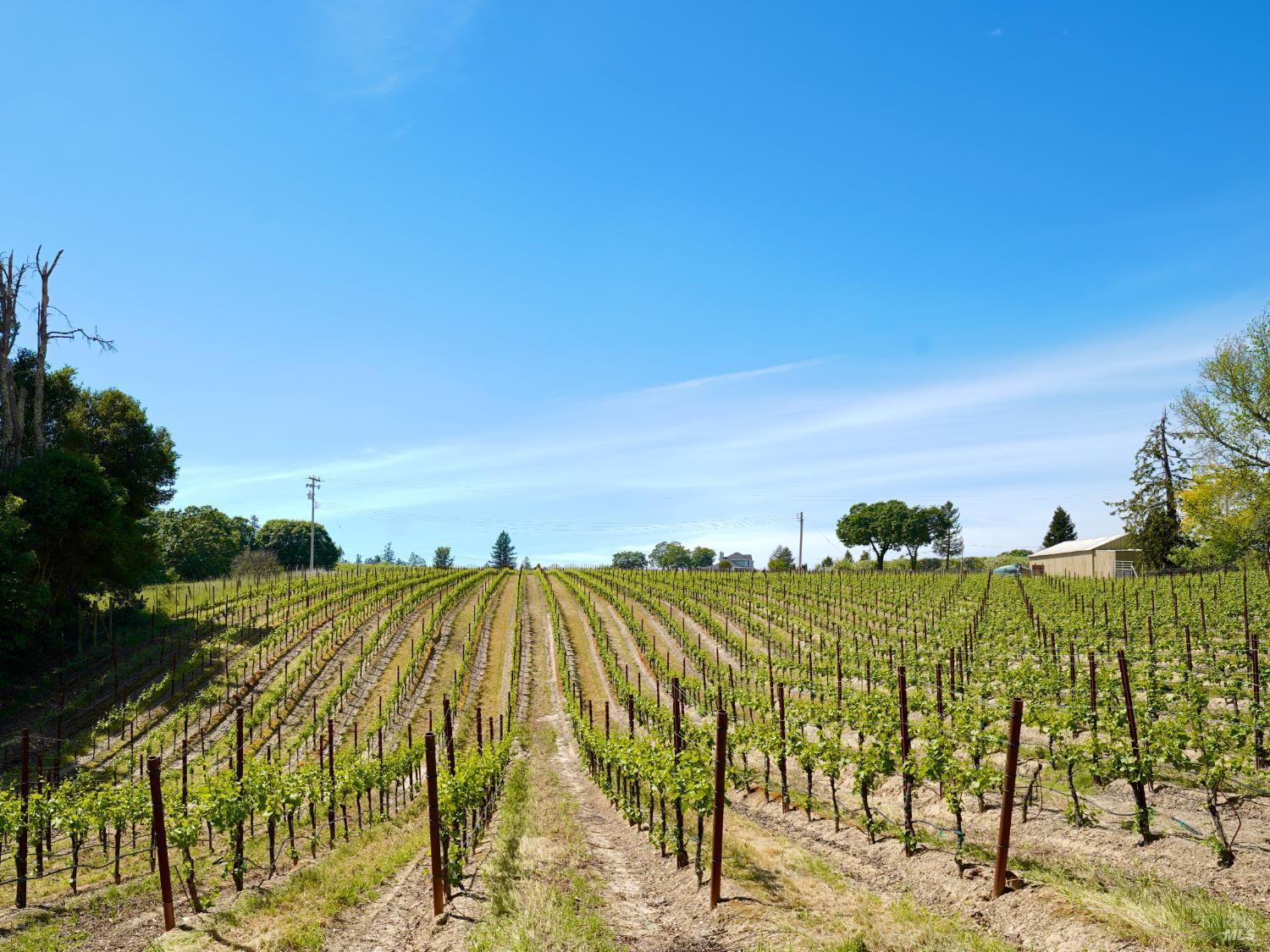 Detail Gallery Image 51 of 57 For 10463 Mill Station Rd, Sebastopol,  CA 95472 - 3 Beds | 2 Baths