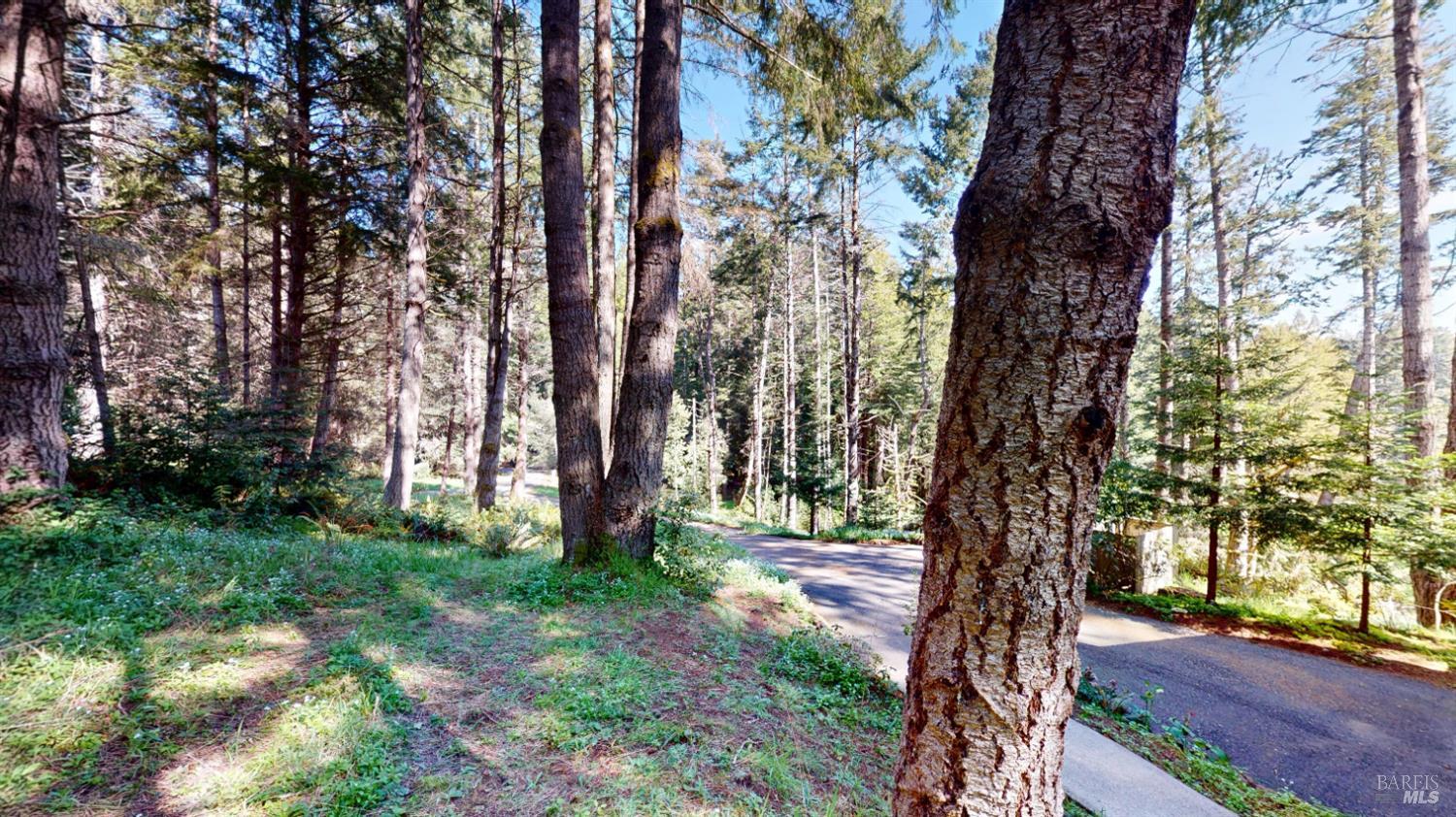 Detail Gallery Image 4 of 30 For 918 River Beach Rd, The Sea Ranch,  CA 95497 - 3 Beds | 2/1 Baths