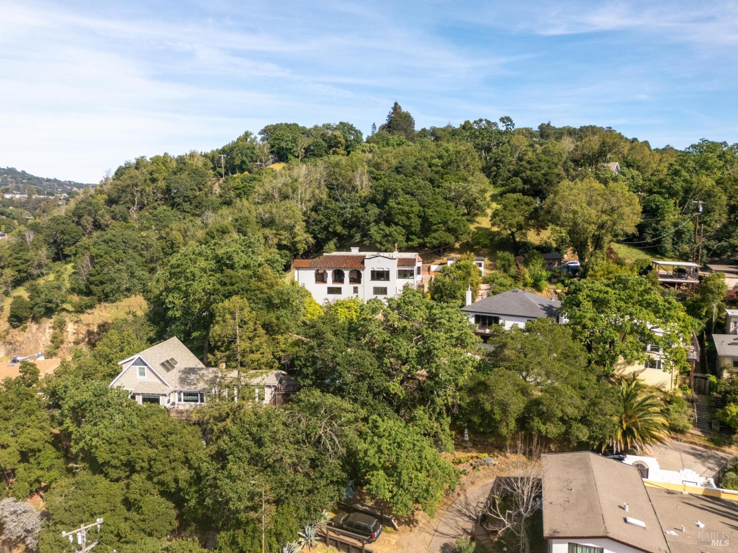 Detail Gallery Image 87 of 93 For 88 Lincoln Park Unkn, San Anselmo,  CA 94960 - 4 Beds | 4/1 Baths