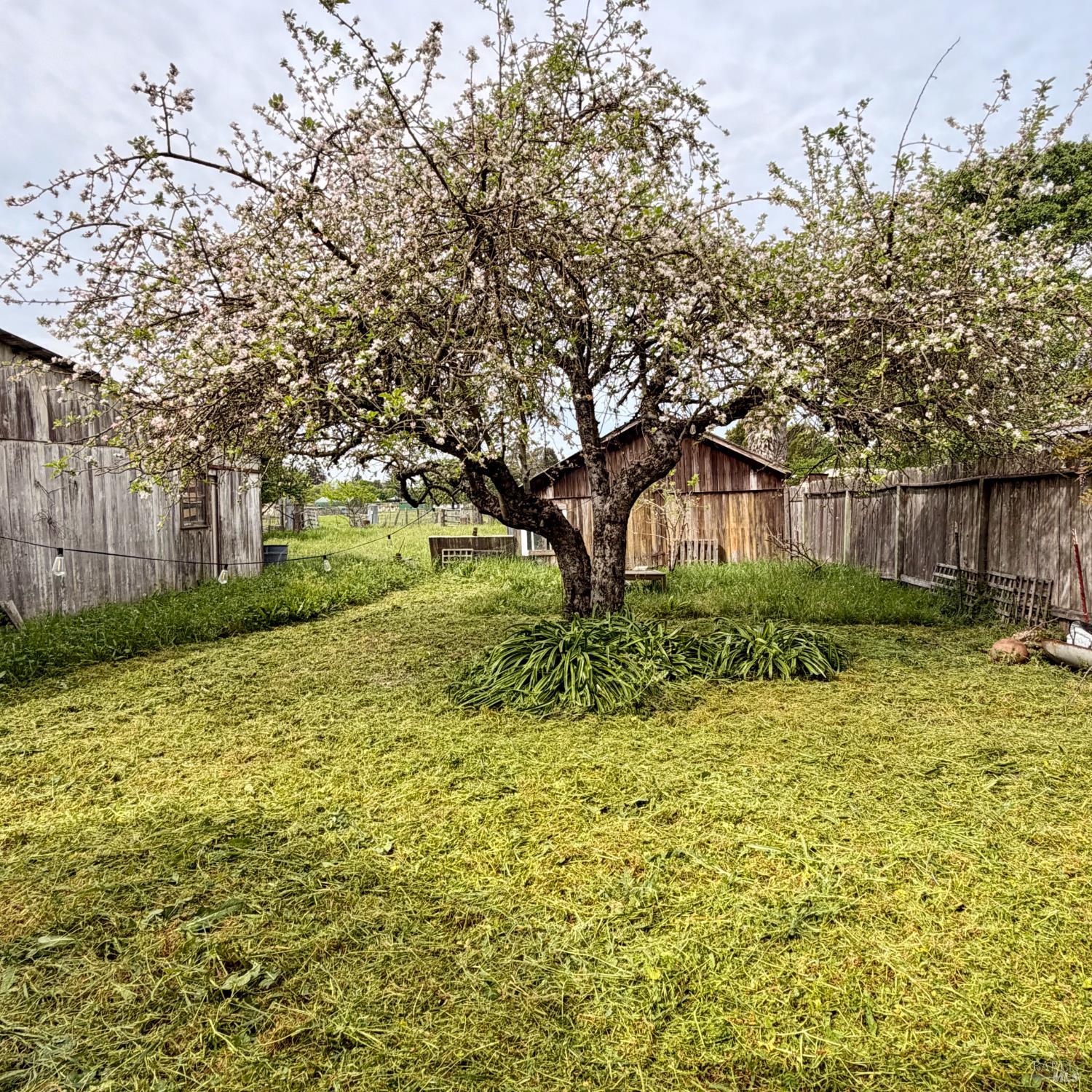 Detail Gallery Image 7 of 10 For 1047 S Wright Rd, Santa Rosa,  CA 95407 - 3 Beds | 1 Baths