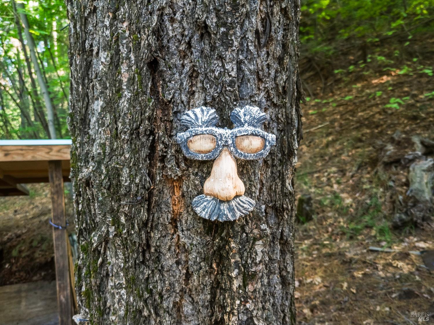 Detail Gallery Image 44 of 47 For 16179 Madrone Blvd, Cobb,  CA 95426 - 1 Beds | 1 Baths