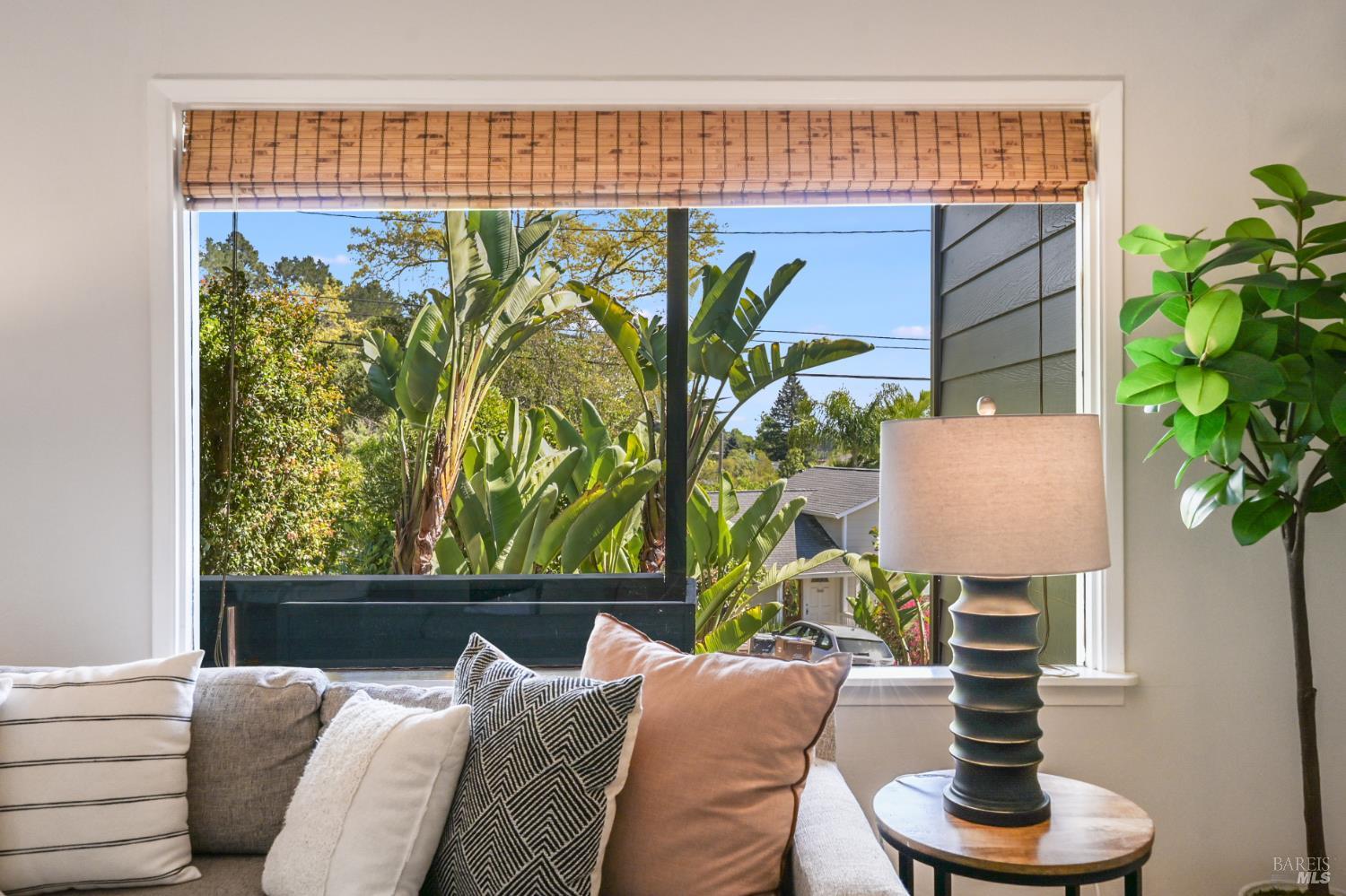 Detail Gallery Image 8 of 48 For 115 Myrtle Ave, San Rafael,  CA 94901 - 3 Beds | 2 Baths