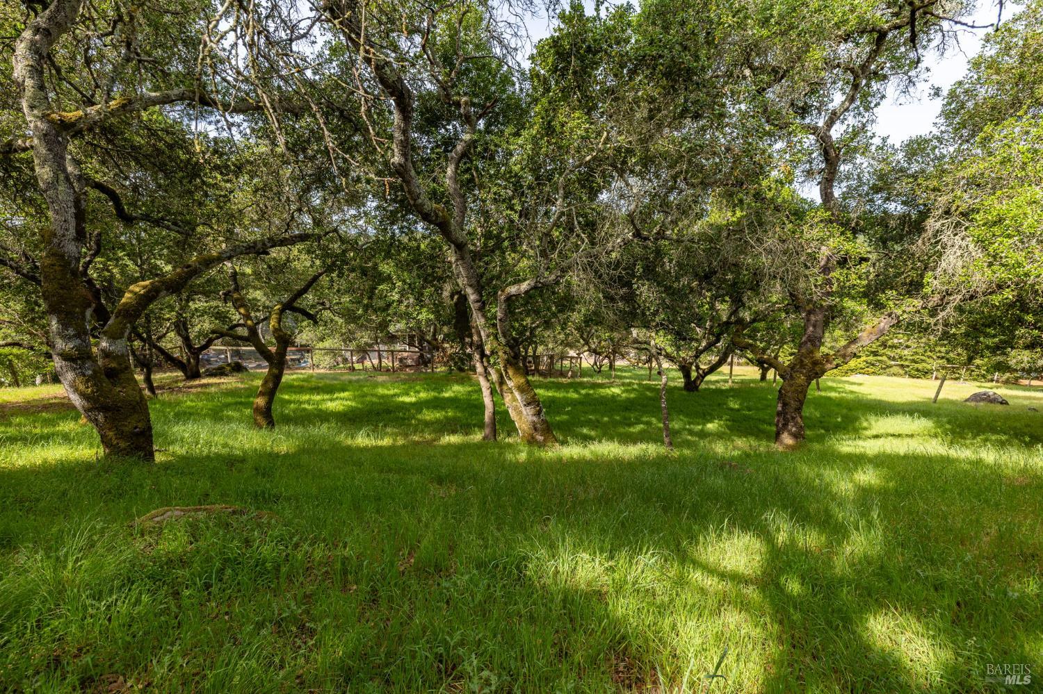 Detail Gallery Image 9 of 24 For 0 Rim Rock Way, Santa Rosa,  CA 95404 - – Beds | – Baths