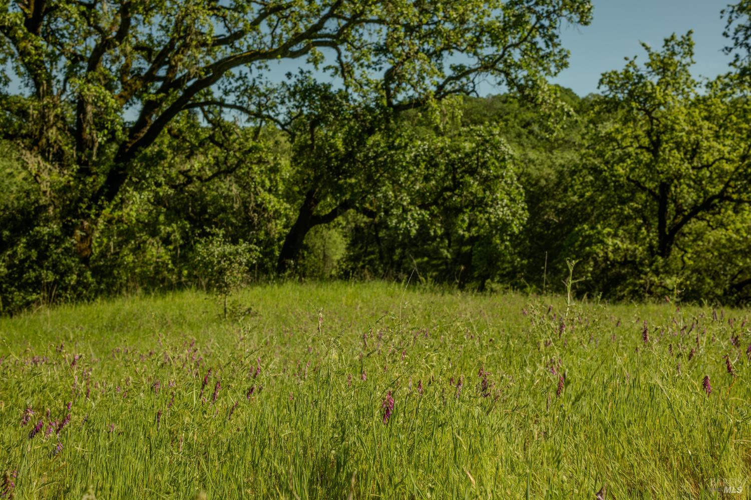 Detail Gallery Image 5 of 5 For 0 Arnold Dr, Sonoma,  CA 95476 - – Beds | – Baths