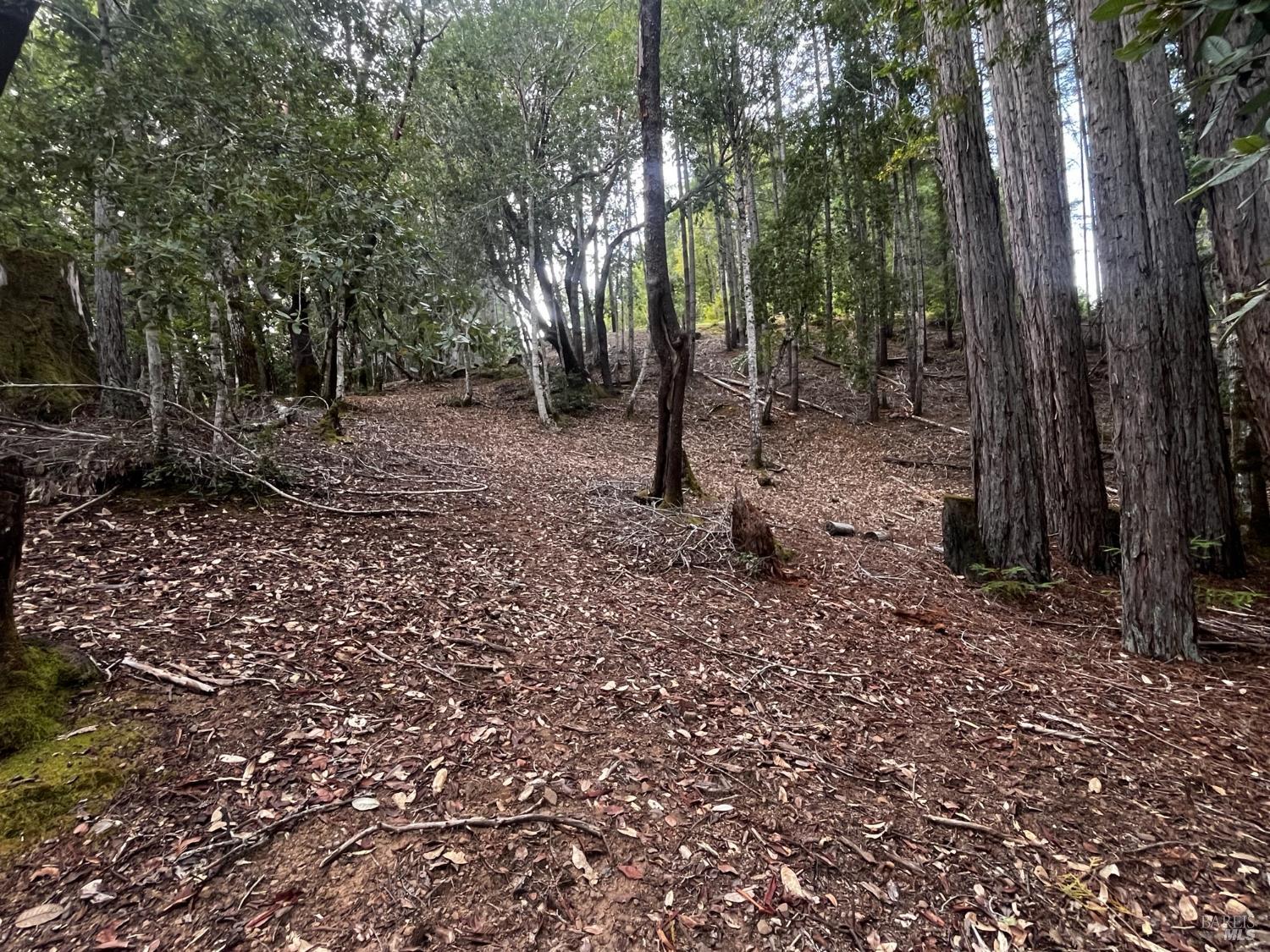 Detail Gallery Image 2 of 6 For 1921 Clover Dr, Willits,  CA 95490 - – Beds | – Baths