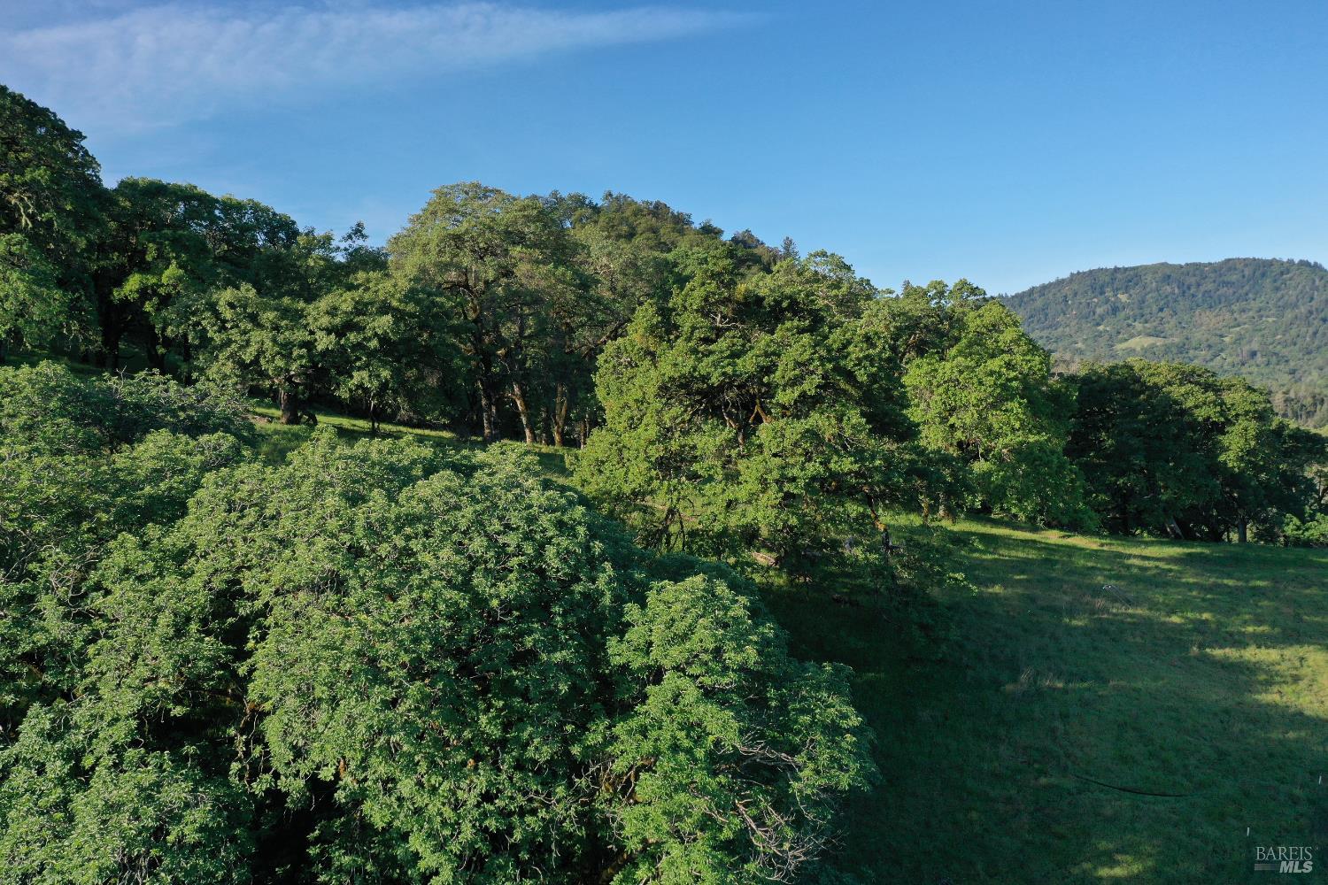 Detail Gallery Image 4 of 37 For 12950 Eagle Rock Rd, Hopland,  CA 95449 - – Beds | – Baths