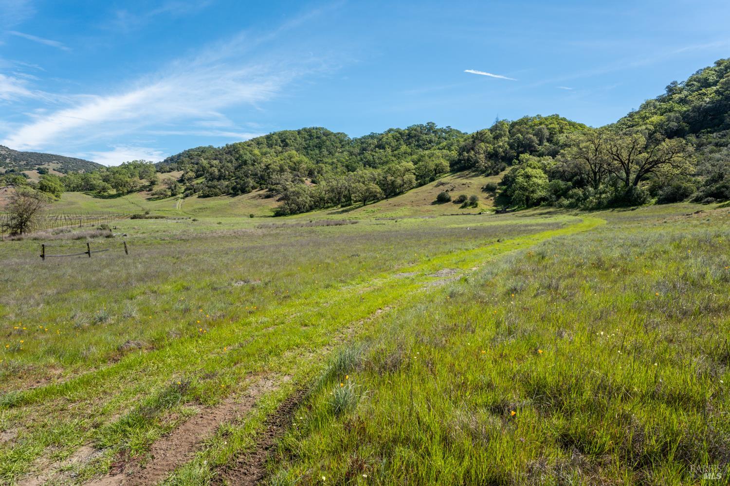 Detail Gallery Image 30 of 48 For 2800 Feliz Creek Rd, Hopland,  CA 95449 - – Beds | – Baths