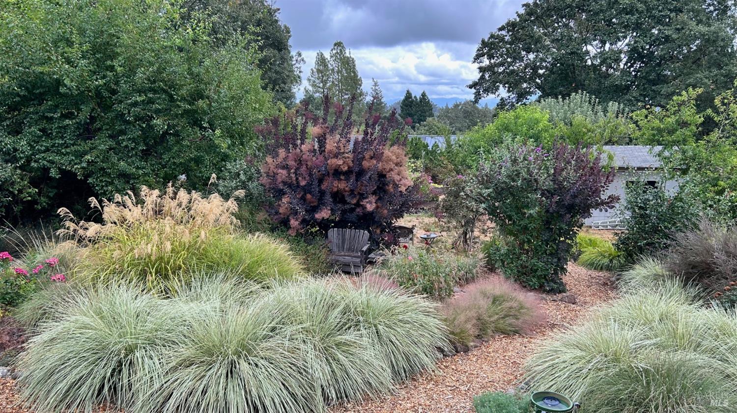 Detail Gallery Image 55 of 63 For 10463 Mill Station Rd, Sebastopol,  CA 95472 - 3 Beds | 2 Baths