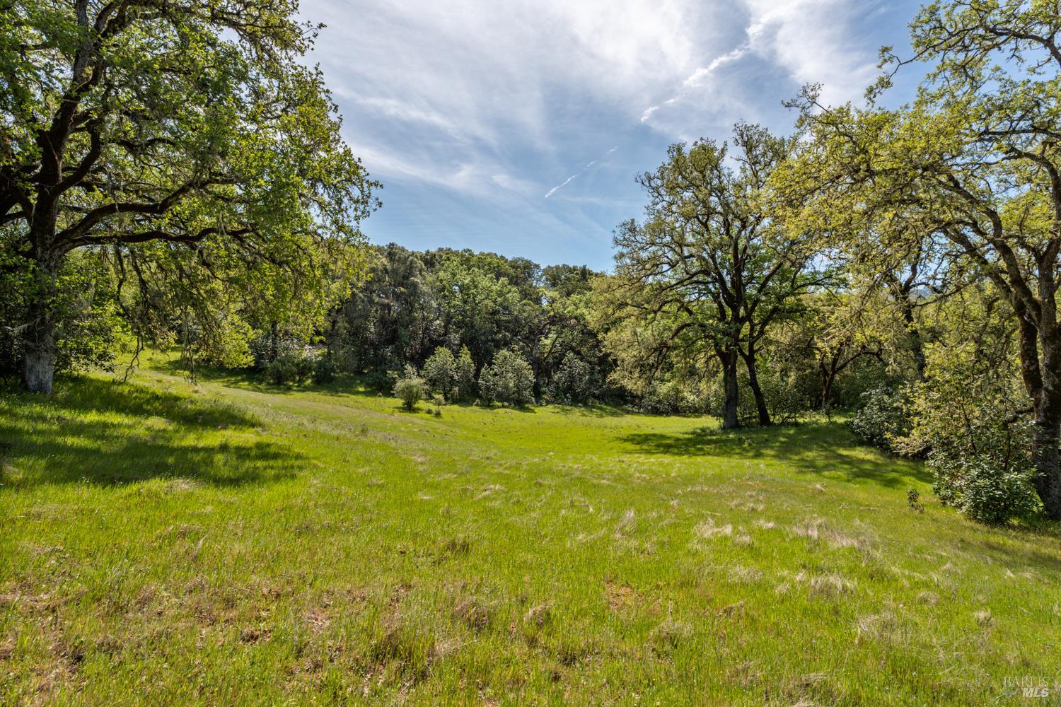 Detail Gallery Image 44 of 48 For 2800 Feliz Creek Rd, Hopland,  CA 95449 - – Beds | – Baths