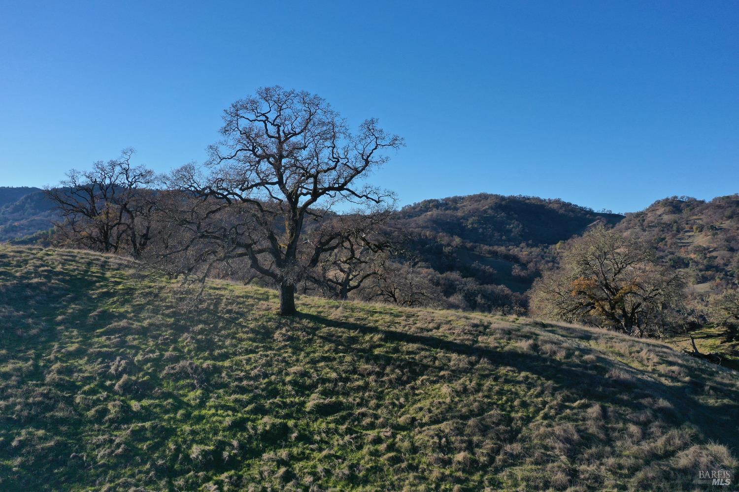 Detail Gallery Image 3 of 37 For 12950 Eagle Rock Rd, Hopland,  CA 95449 - – Beds | – Baths