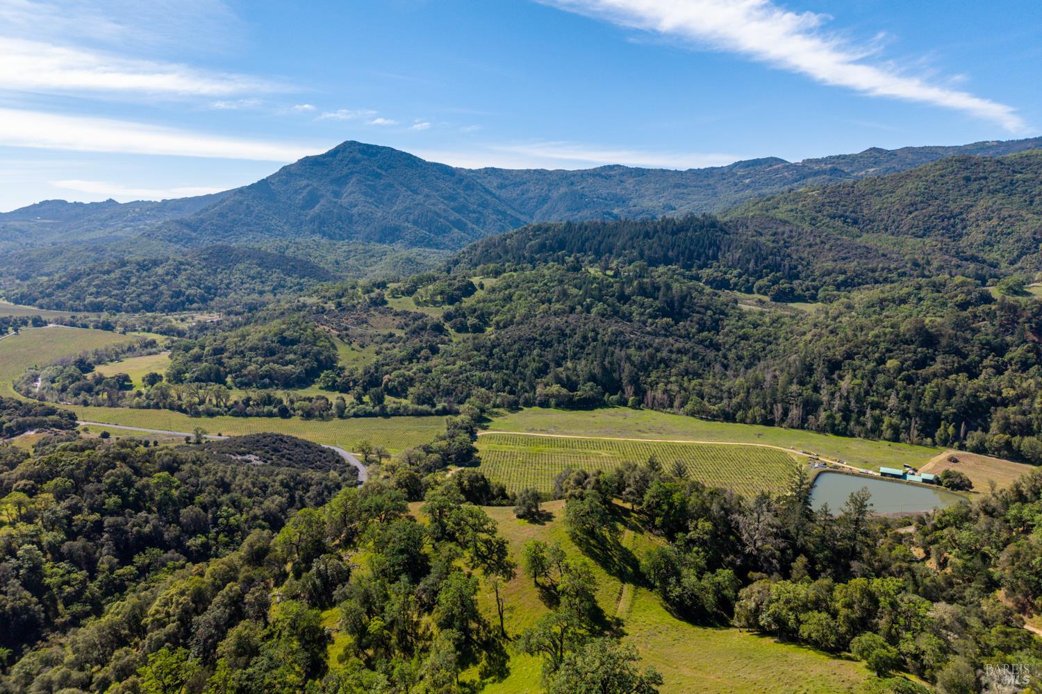 Detail Gallery Image 2 of 48 For 2800 Feliz Creek Rd, Hopland,  CA 95449 - – Beds | – Baths