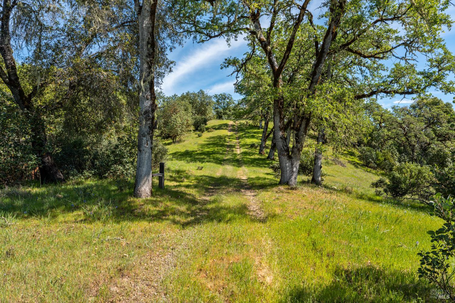 Detail Gallery Image 38 of 48 For 2800 Feliz Creek Rd, Hopland,  CA 95449 - – Beds | – Baths