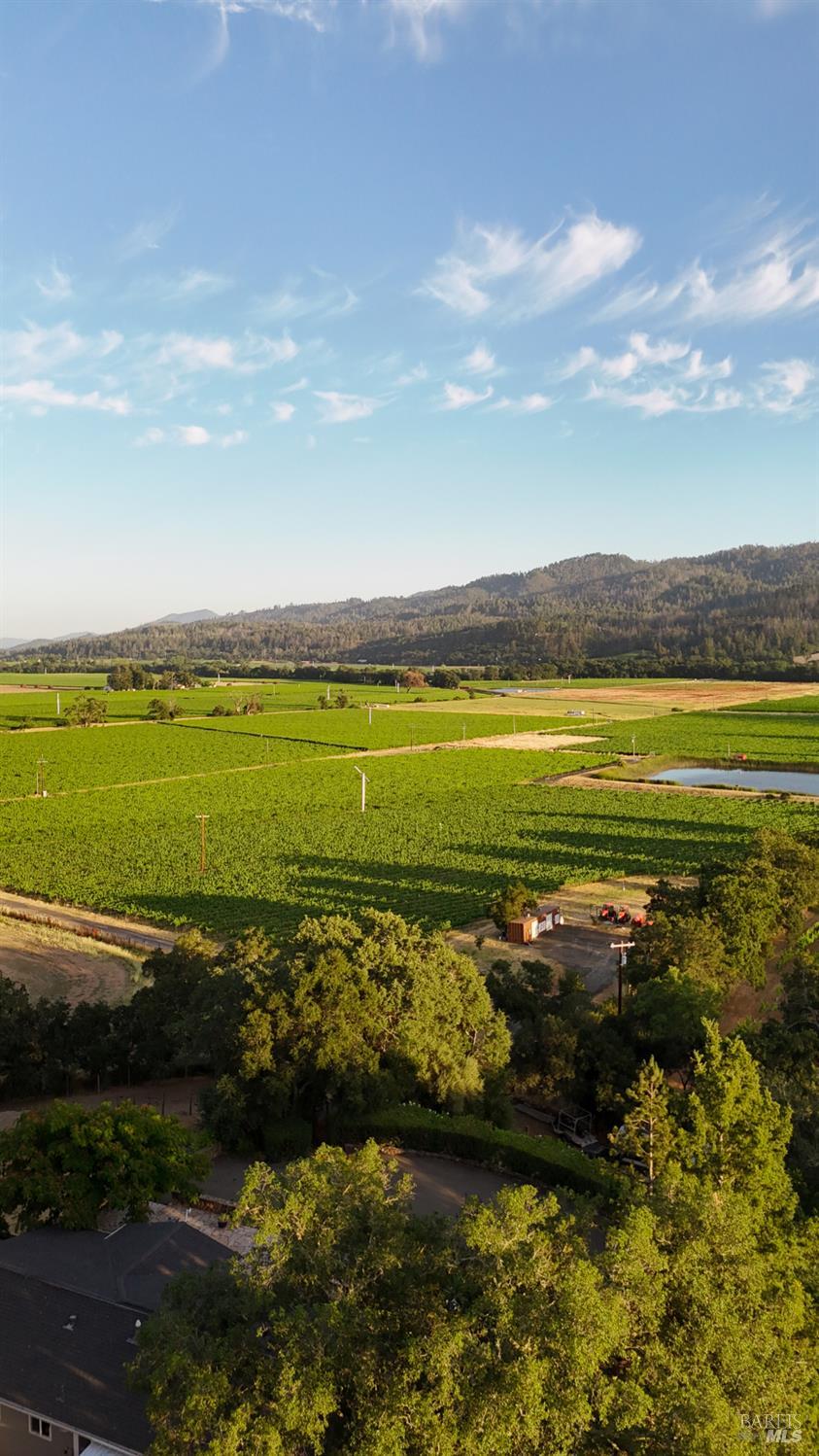Detail Gallery Image 33 of 34 For 4405 Silverado Trl, Calistoga,  CA 94515 - 3 Beds | 1/1 Baths