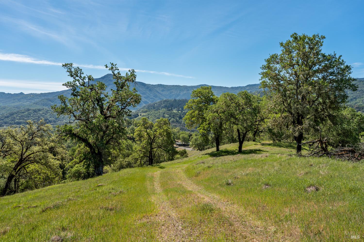 Detail Gallery Image 37 of 48 For 2800 Feliz Creek Rd, Hopland,  CA 95449 - – Beds | – Baths