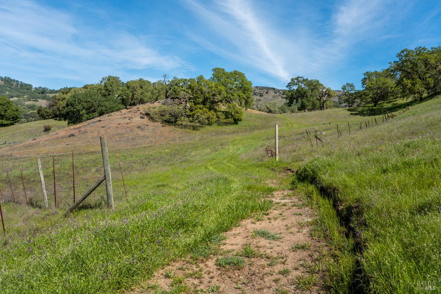 Detail Gallery Image 31 of 48 For 2800 Feliz Creek Rd, Hopland,  CA 95449 - – Beds | – Baths
