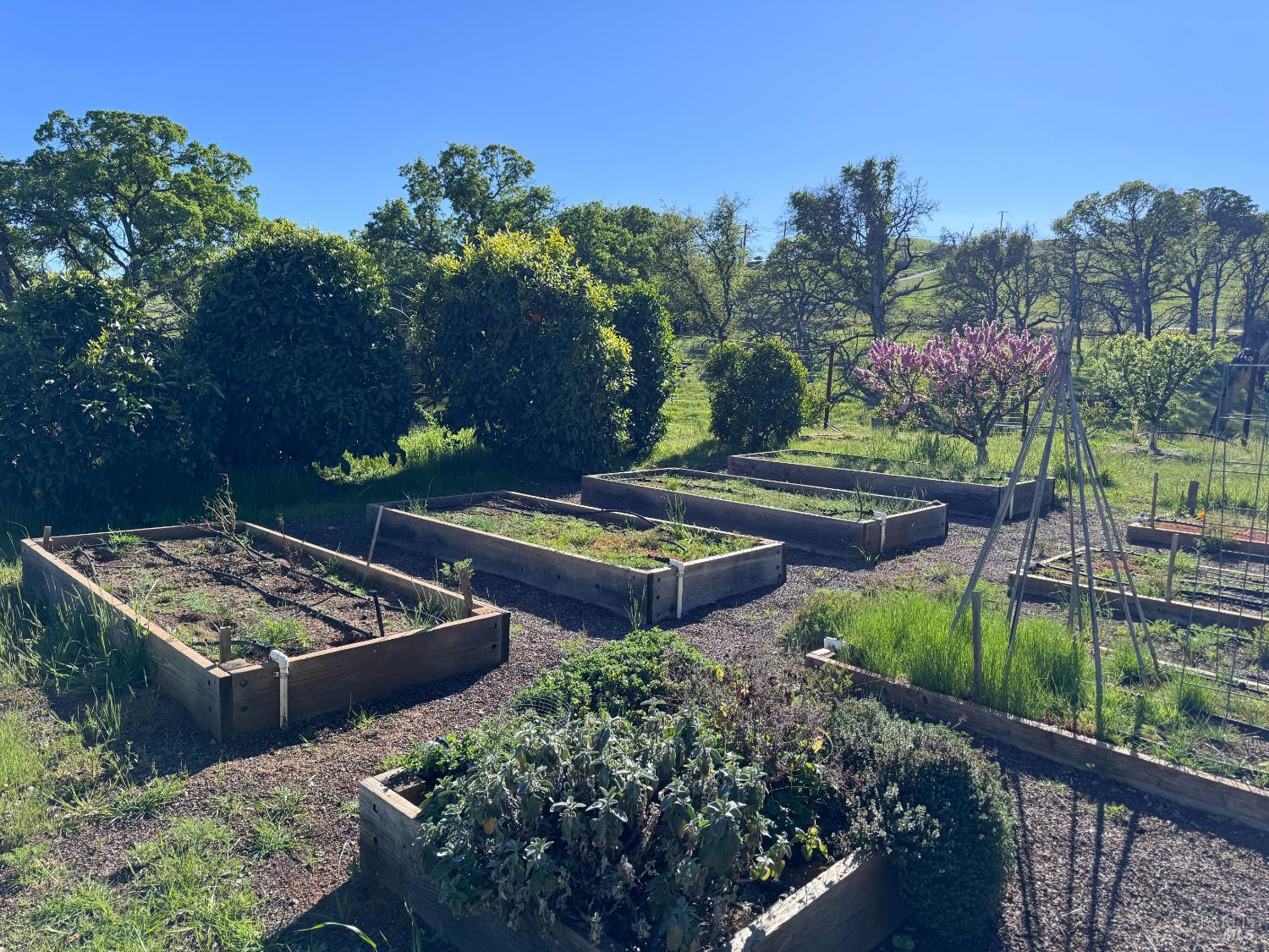 Detail Gallery Image 6 of 35 For 8600 Pleasants Valley Rd, Winters,  CA 95694 - – Beds | – Baths