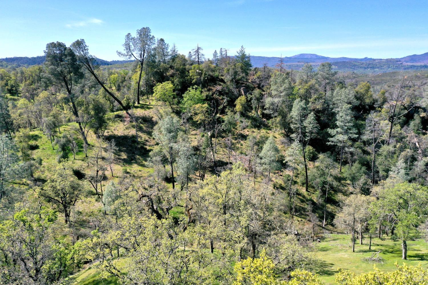 Detail Gallery Image 40 of 49 For 18300 Morgan Valley Rd, Lower Lake,  CA 95457 - 2 Beds | 2 Baths