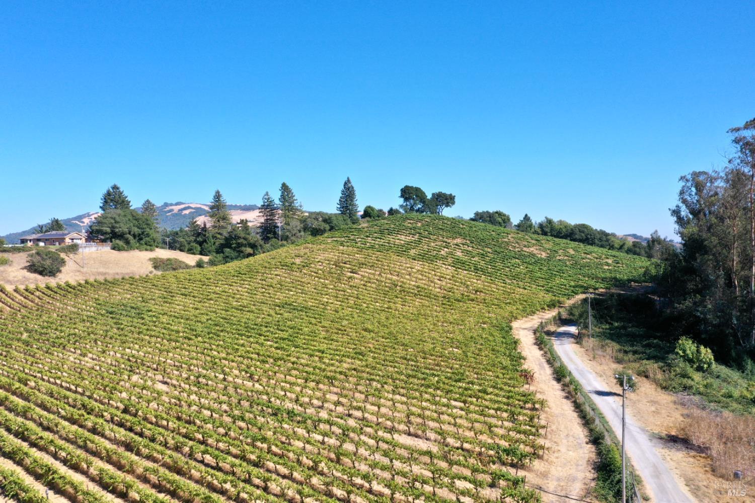 Detail Gallery Image 46 of 65 For 4889 Grange Rd, Santa Rosa,  CA 95404 - 5 Beds | 4/1 Baths