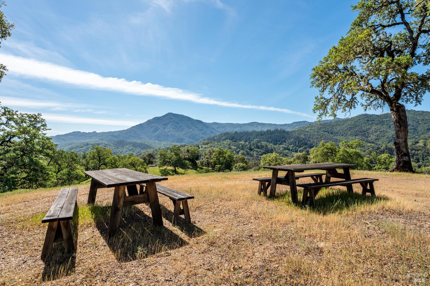 Detail Gallery Image 21 of 48 For 2800 Feliz Creek Rd, Hopland,  CA 95449 - – Beds | – Baths