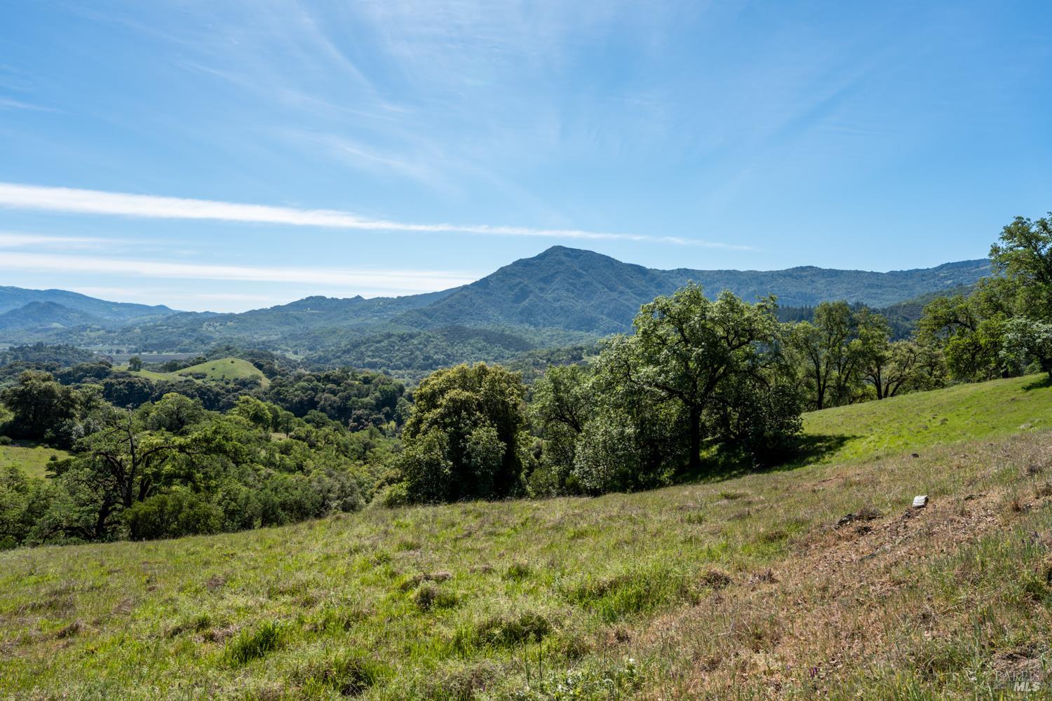 Detail Gallery Image 39 of 48 For 2800 Feliz Creek Rd, Hopland,  CA 95449 - – Beds | – Baths