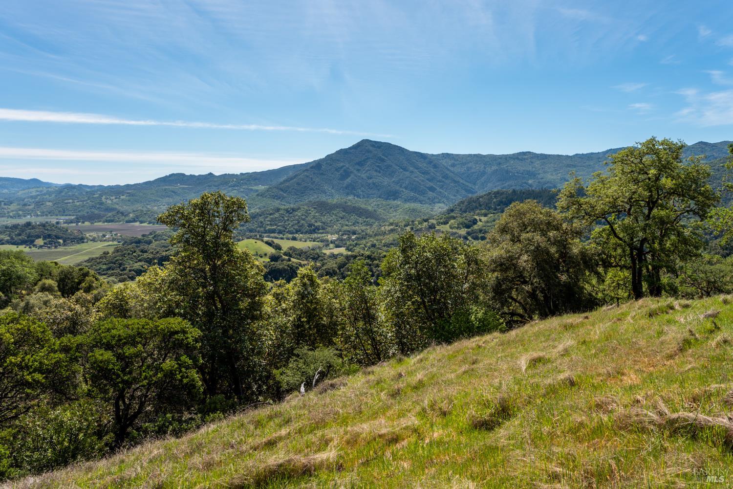 Detail Gallery Image 42 of 48 For 2800 Feliz Creek Rd, Hopland,  CA 95449 - – Beds | – Baths