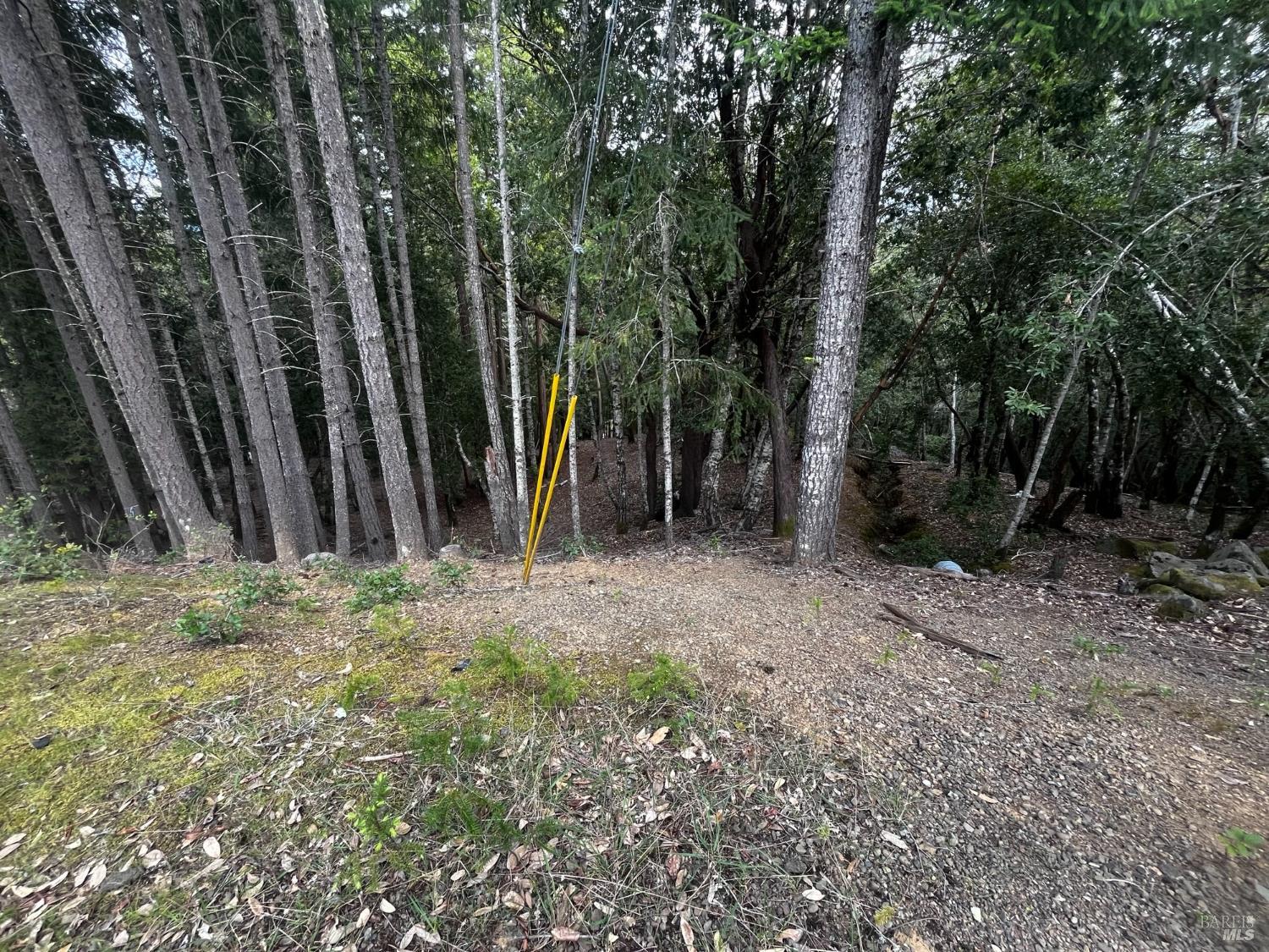 Detail Gallery Image 5 of 6 For 1921 Clover Dr, Willits,  CA 95490 - – Beds | – Baths