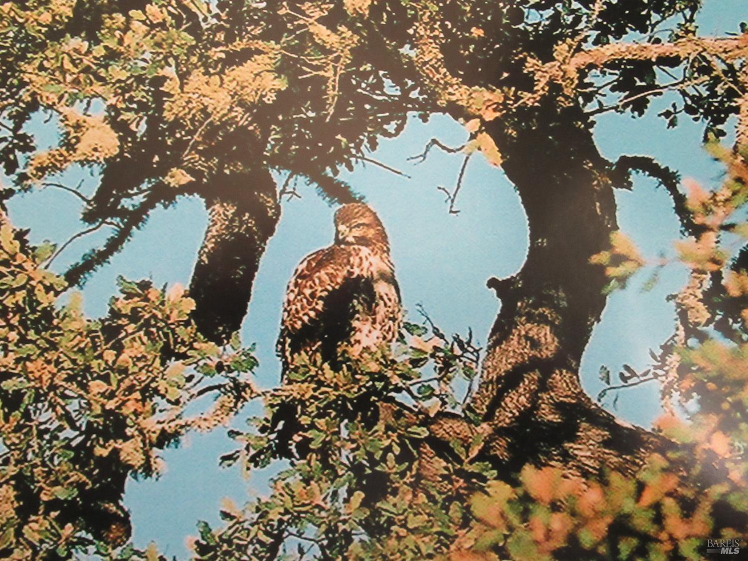 Detail Gallery Image 20 of 49 For 18300 Morgan Valley Rd, Lower Lake,  CA 95457 - 2 Beds | 2 Baths