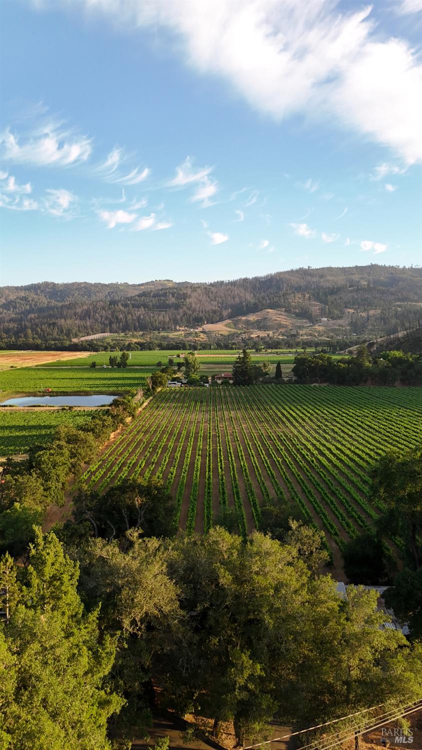 Detail Gallery Image 34 of 34 For 4405 Silverado Trl, Calistoga,  CA 94515 - 3 Beds | 1/1 Baths