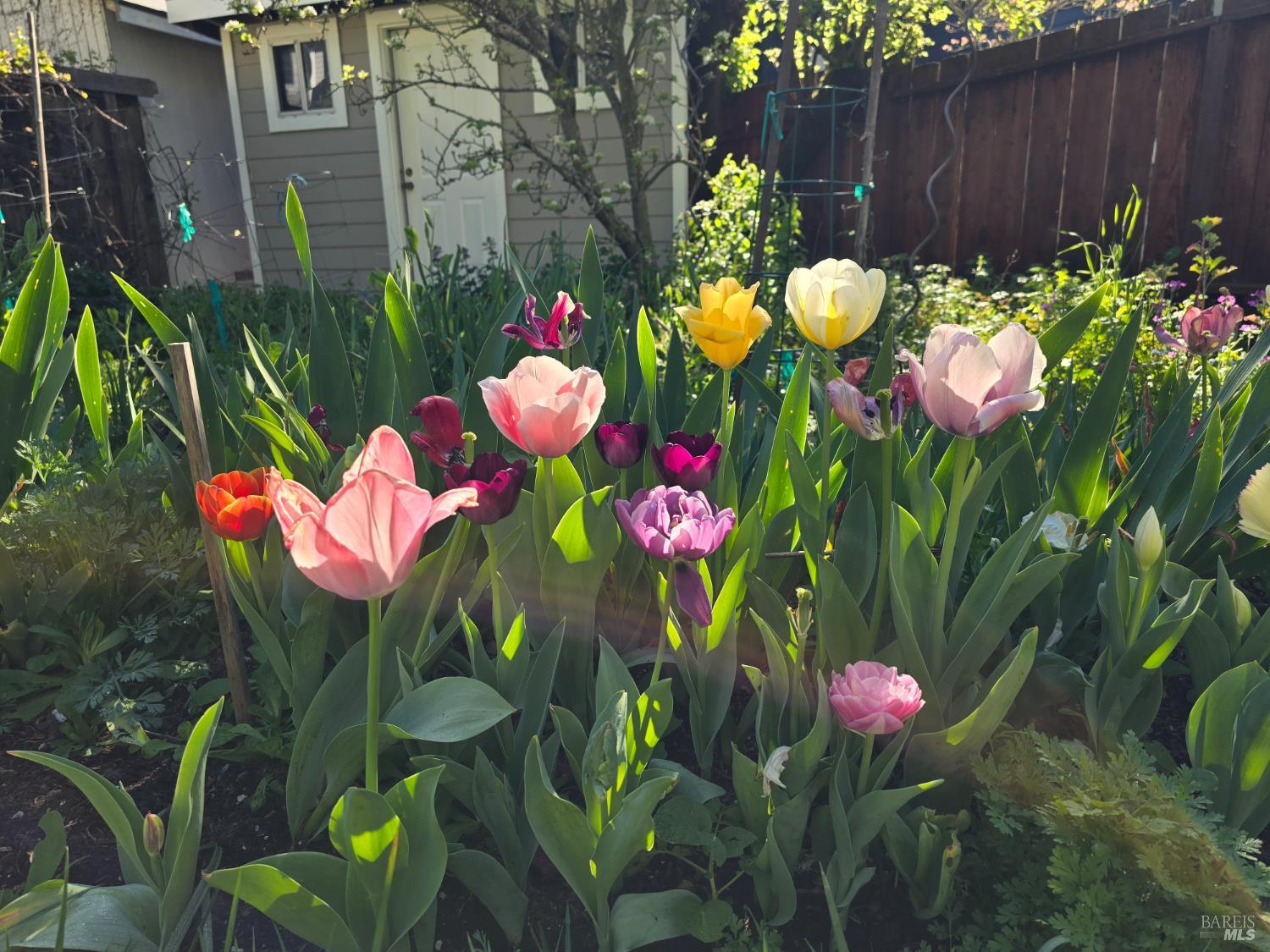 Detail Gallery Image 34 of 34 For 31 Rowland Ct, San Anselmo,  CA 94960 - 3 Beds | 1 Baths