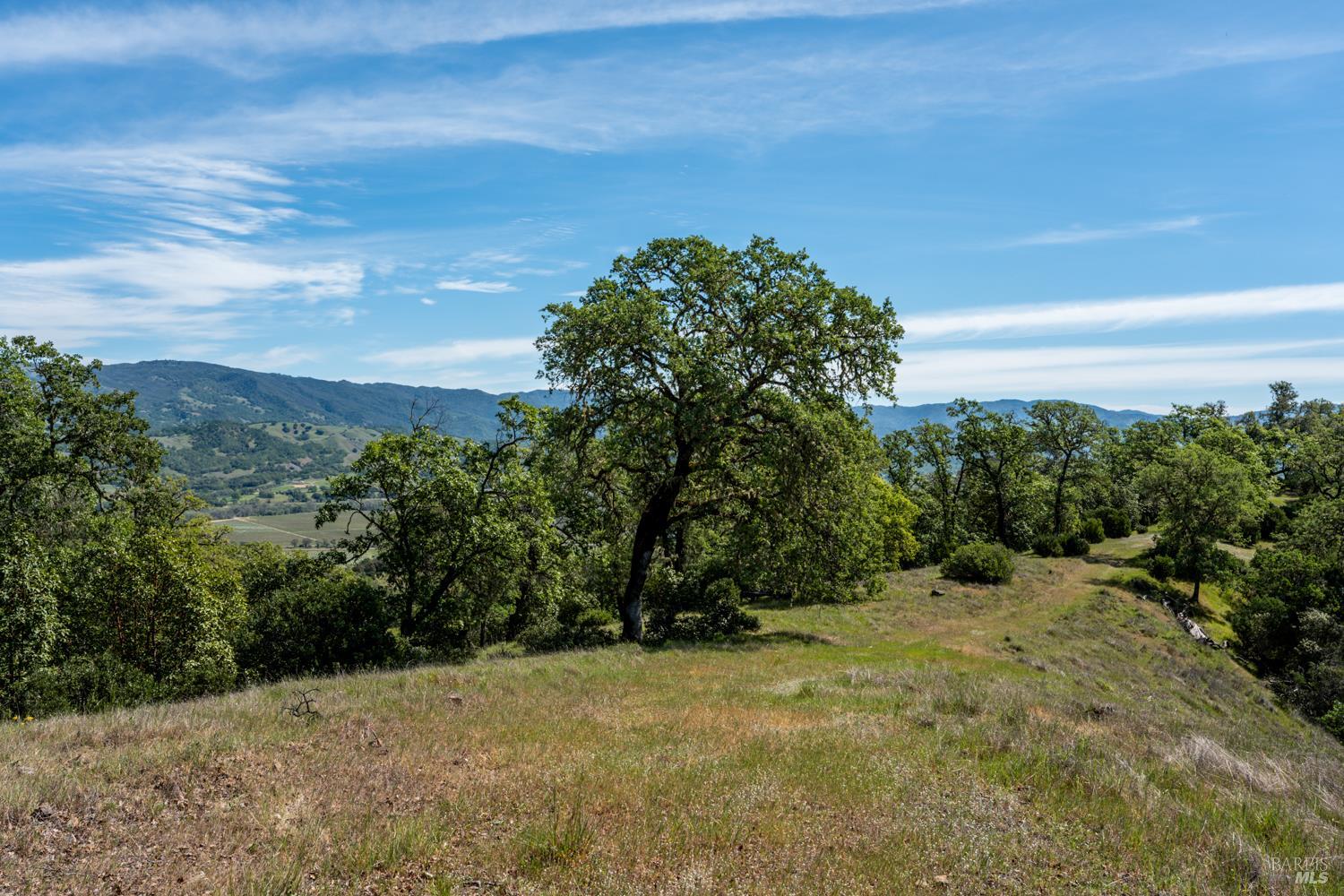 Detail Gallery Image 41 of 48 For 2800 Feliz Creek Rd, Hopland,  CA 95449 - – Beds | – Baths