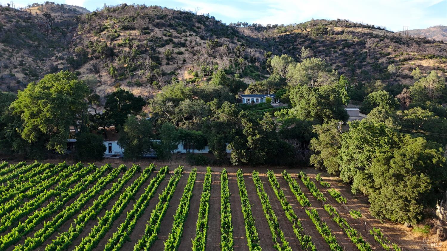 Detail Gallery Image 29 of 34 For 4405 Silverado Trl, Calistoga,  CA 94515 - 3 Beds | 1/1 Baths