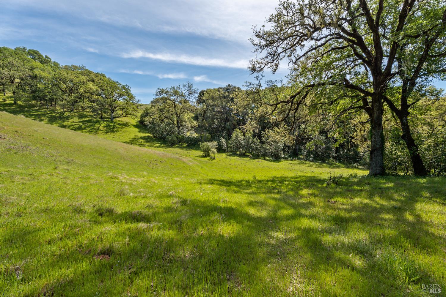 Detail Gallery Image 45 of 48 For 2800 Feliz Creek Rd, Hopland,  CA 95449 - – Beds | – Baths