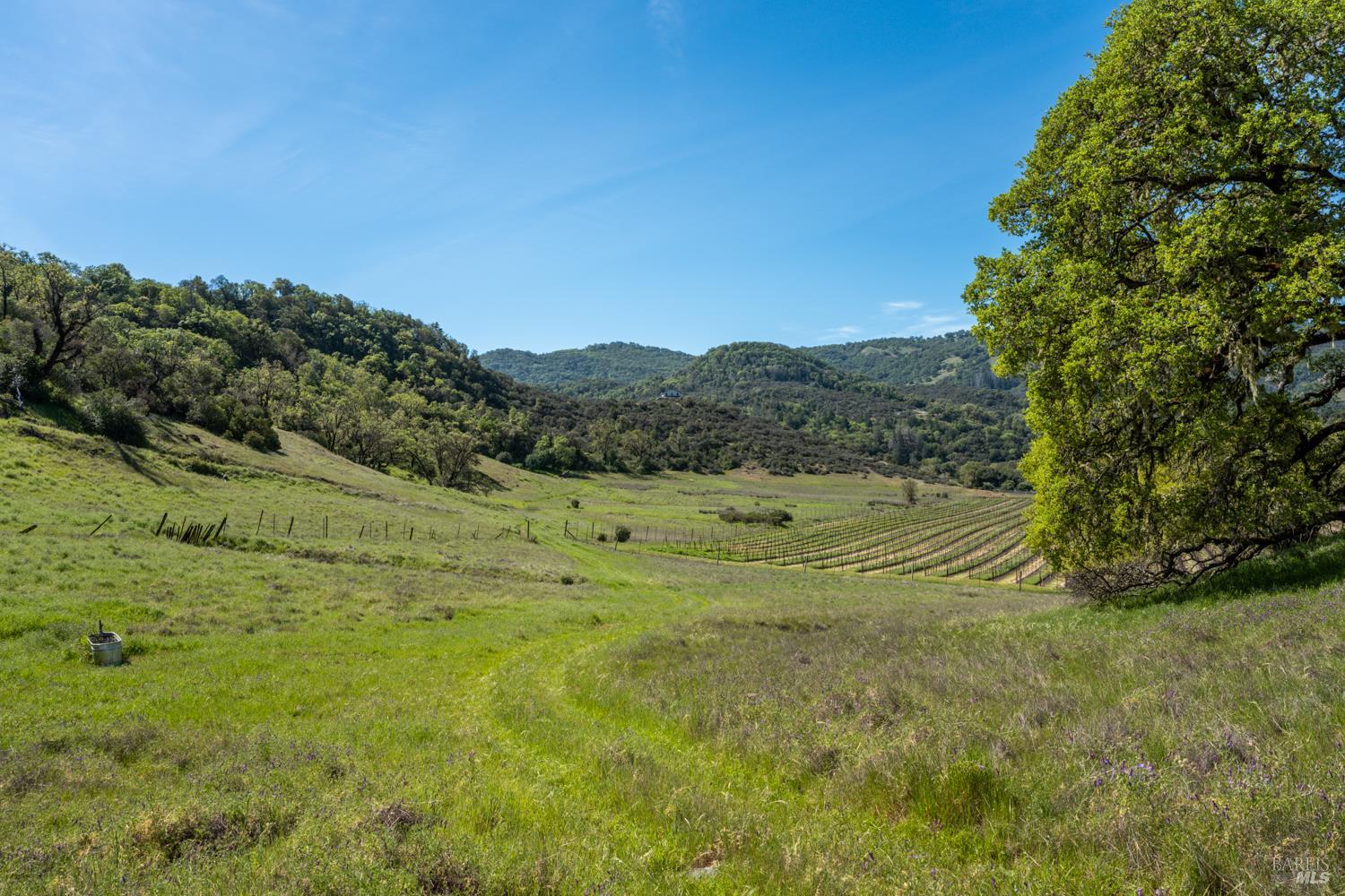 Detail Gallery Image 32 of 48 For 2800 Feliz Creek Rd, Hopland,  CA 95449 - – Beds | – Baths