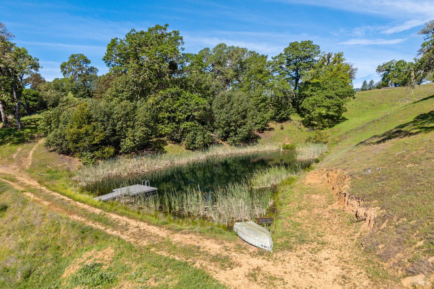 Detail Gallery Image 19 of 48 For 2800 Feliz Creek Rd, Hopland,  CA 95449 - – Beds | – Baths