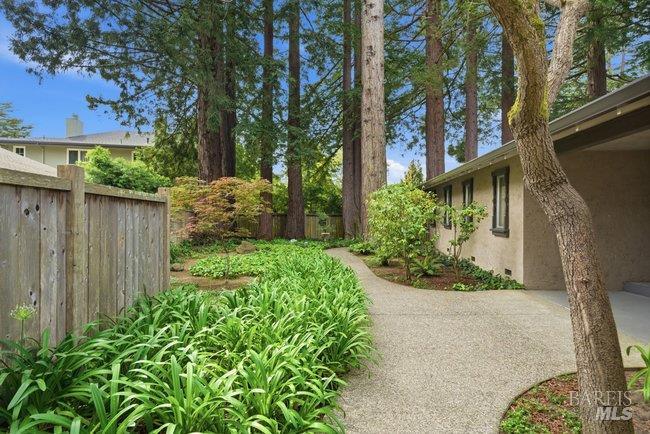 Detail Gallery Image 44 of 50 For 10 Catalpa Ave #7,  Mill Valley,  CA 94941 - 2 Beds | 1 Baths