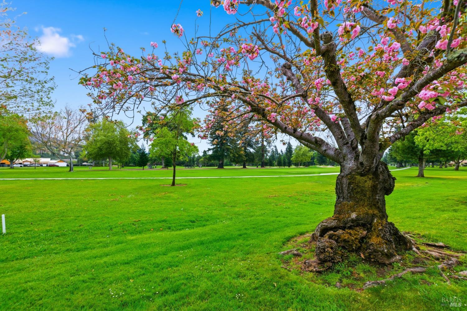 Detail Gallery Image 30 of 49 For 13 Fairways Dr, Napa,  CA 94558 - 2 Beds | 2 Baths